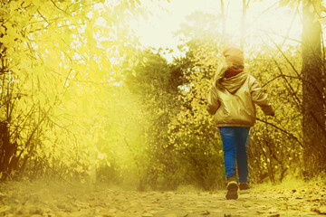 Little girl walking alone. Autumn park. Beautiful in nature. Cinematic effect toned