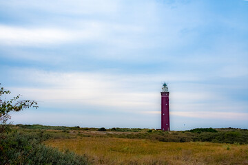 The image depicts a stately lighthouse standing tall amidst a sprawling coastal heath. The...