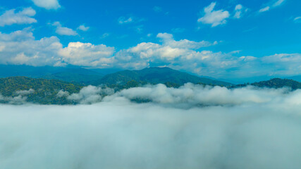 Aerial view of mountains and mixed forest. Green deciduous trees with mist clouds. The rich natural ecosystem of the rainforest concept is about conservation and natural reforestation.	
