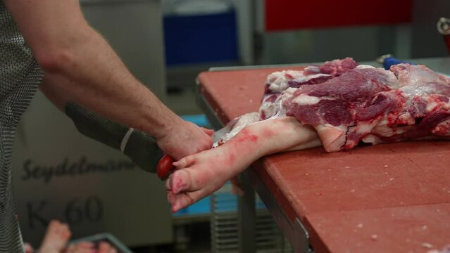 Butcher doing abbatoir slaughterhouse operations and cutting pig leg