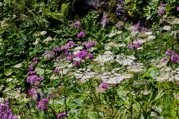 The 5-Lakes Hike, Bad Ragaz, Switzerland.