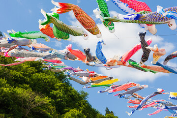 日本の風景・春　群馬県神流町　神流川公園の鯉のぼり