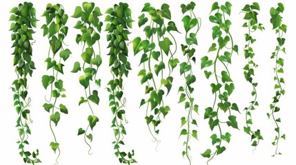 An illustration collection of jungle liana vines with green leaves on a green background. Climbing ivy plant stem and rope. Tropical hanging plants.