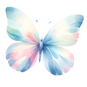 Pastel Watercolor Butterfly Illustration Art
