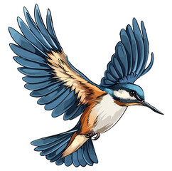 kingfisher bird flying 