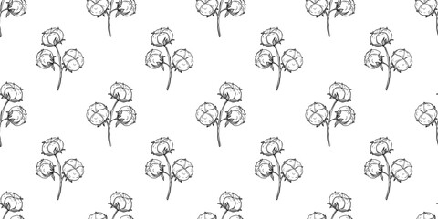 Seamless pattern with hand drawn cotton branch in engraving style isolated on white. Line drawing