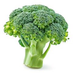 A crisp head of broccoli with florets isolated on a clean white background, Ai Generated.