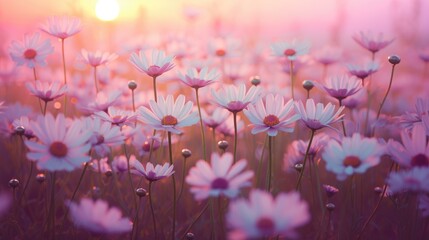 A field of daisies unfolds with dreamy hues, transitioning from purple to pink under a soft sky. Ai Generated.