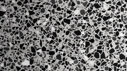 Vector Terrazzo. Black and white. Marble.