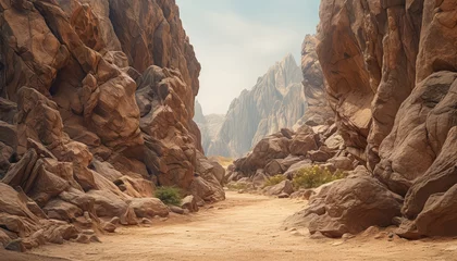 Poster A rocky canyon with a path through it © terra.incognita