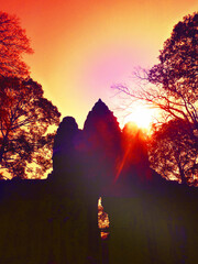 Mysterious  old ceiba tree on colorful sky background. Looking up. Angkor Wat, Angkor, Siem Reap,...