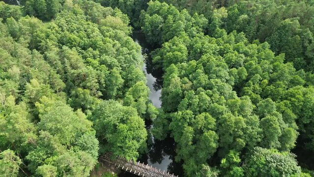 old railway steel bridge over river in green forest aerial high angle