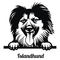 Islandhund Dog - Peeking Dog Breed - Pet Dog Vector Portrait, Dog Silhouette Stencil