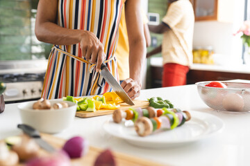Biracial woman is chopping vegetables in a kitchen