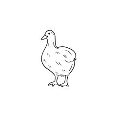 Realistic domestic farm goose animal in black isolated on white background. Hand drawn vector sketch illustration in doodle engraved line art style. Poultry, village bird drawing.