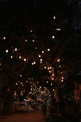 Hanging lights in trees at night in the Philippines