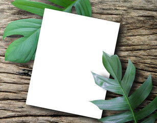 Top view with blank paper sheet with fresh spring green leafs border frame on wooden background