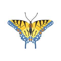 yellow butterfly cartoon vector illustration