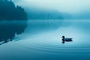 Poster Minimalist design of a peaceful lake tranquility in simplicity © weerasak