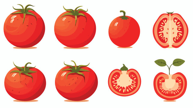 Design vector image icons tomato flat vector isolate