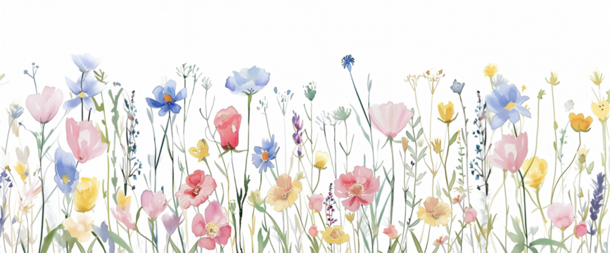 Nature’s Artistry: Elegant Botanical Watercolors and Dainty Wildflowers - A Summer Bloom Collection with Artistic Illustrations of a Pastel Garden, Isolated on a Transparent Background, PNG Cut Out.