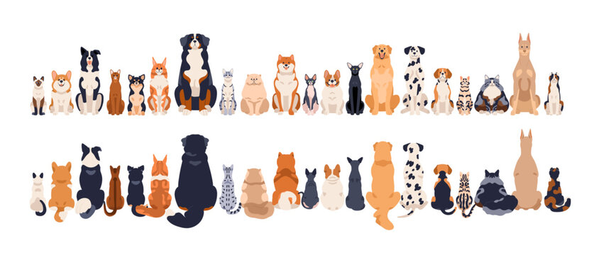 Dogs and cats, front and back rear views, tails. Canine and feline animals group sitting in row, line. Many pets breeds, horizontal border. Flat vector illustration isolated on white background