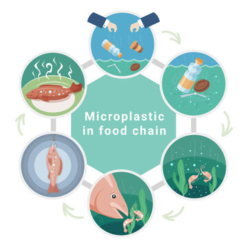 Microplastic in food chain plastic waste life cycle diagram scheme isometric vector illustration