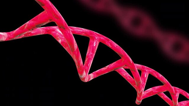 DNA red animation molecules animation video. Deoxyribonucleic acid animation. 4K Resolution