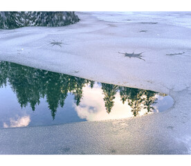 trees reflected on a frozen mountain lake