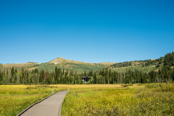 Scenic Summer Trail and Meadows in the Mountains of Park City