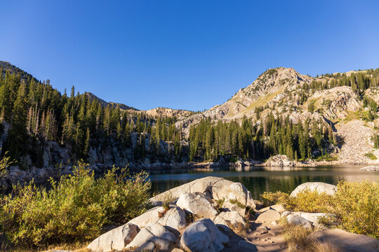 Lake Martha's Waters Embraced by Forested Slopes and Rocky Shores