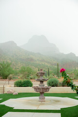 stormy arizona desert mountain fountain flower cactus