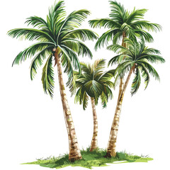 Tropical Palm Trees Clipart isolated on white background