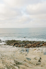Fototapeta na wymiar Seals Relaxing on San Diego Beach