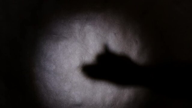 Hands showing shadow theater on wall depicting barking dog.