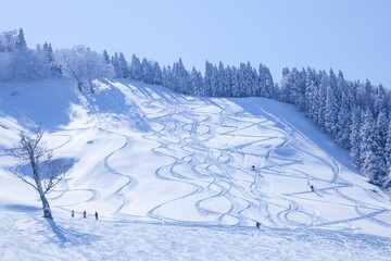 晴れた朝の氷ノ山スキー場の風景 鳥取県 若桜町