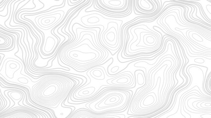 Background of the topographic map. Topographic map lines, contour background. Contour map vector. Geographic World Topography map grid abstract vector illustration.