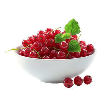 Bowl with fresh red currant isolated on transparent background With clipping path.3d render