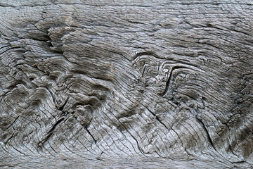 detailed texture of oak wood - 756224234