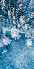 Obraz na płótnie Canvas Frozen Forest A Winter Wonderland Generative AI