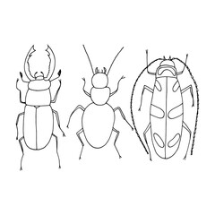 beetles set hand drawn in doodle style. simple, minimalism,