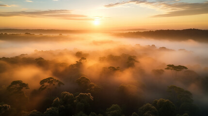 Amazon forest landscape at sunset or sunrise, aerial shot with soft fog in the forest below and sun at horizon. Ai generated
