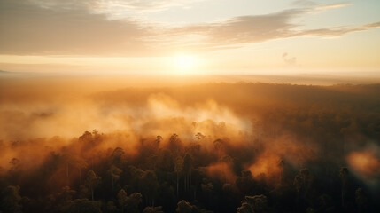 Amazon forest landscape at sunset or sunrise, aerial shot with soft fog in the forest below and sun at horizon. Ai generated - obrazy, fototapety, plakaty
