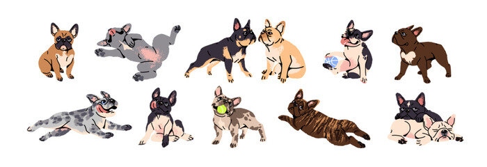 French bulldogs in different colors set. Cute toy dogs with funny muzzles. Adorable puppies play, rest, relax, have fun. Amusing pets, domestic animals. Flat isolated vector illustration on white