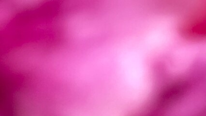 Abstract pink background with space for powerful, luxury, mysterious