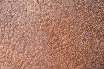 Full frame shot of the surface of leather texture and background. - Powered by Adobe