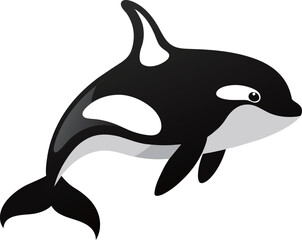 Fototapeta premium Illustration of a killer whale or killer whale on isolated white background