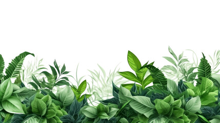 Summer concept green leaves on transparent background