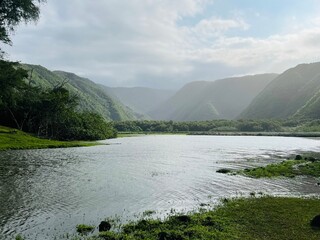 the river flowing through a lush green valley with trees surrounding