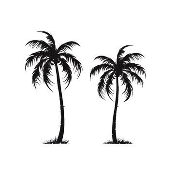 Black palm trees on the transparent background